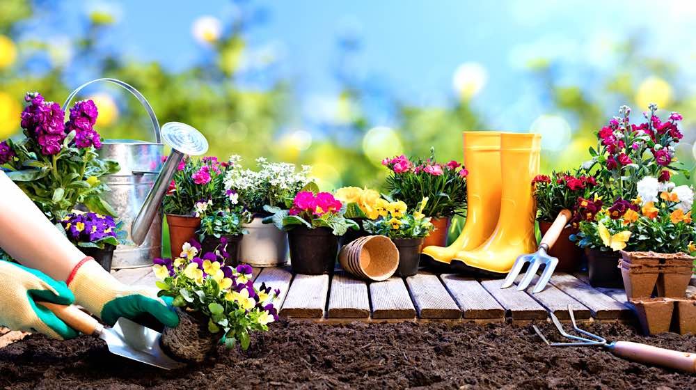 rellosgreen.gr slide image Ανοιξιάτικες Προσφορές #gardening#tools Δες όλη τη γκάμα προϊόντων